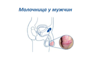 Паразиты на члене: причины и лечение