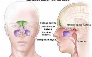 Гайморит — все о заболевании, симптомы и причины