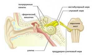 Что нужно знать о кохлеарном неврите?